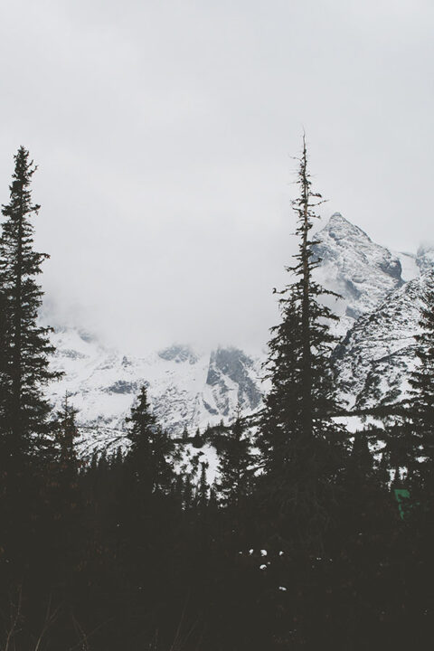 White Dawn