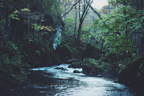Green Valley
