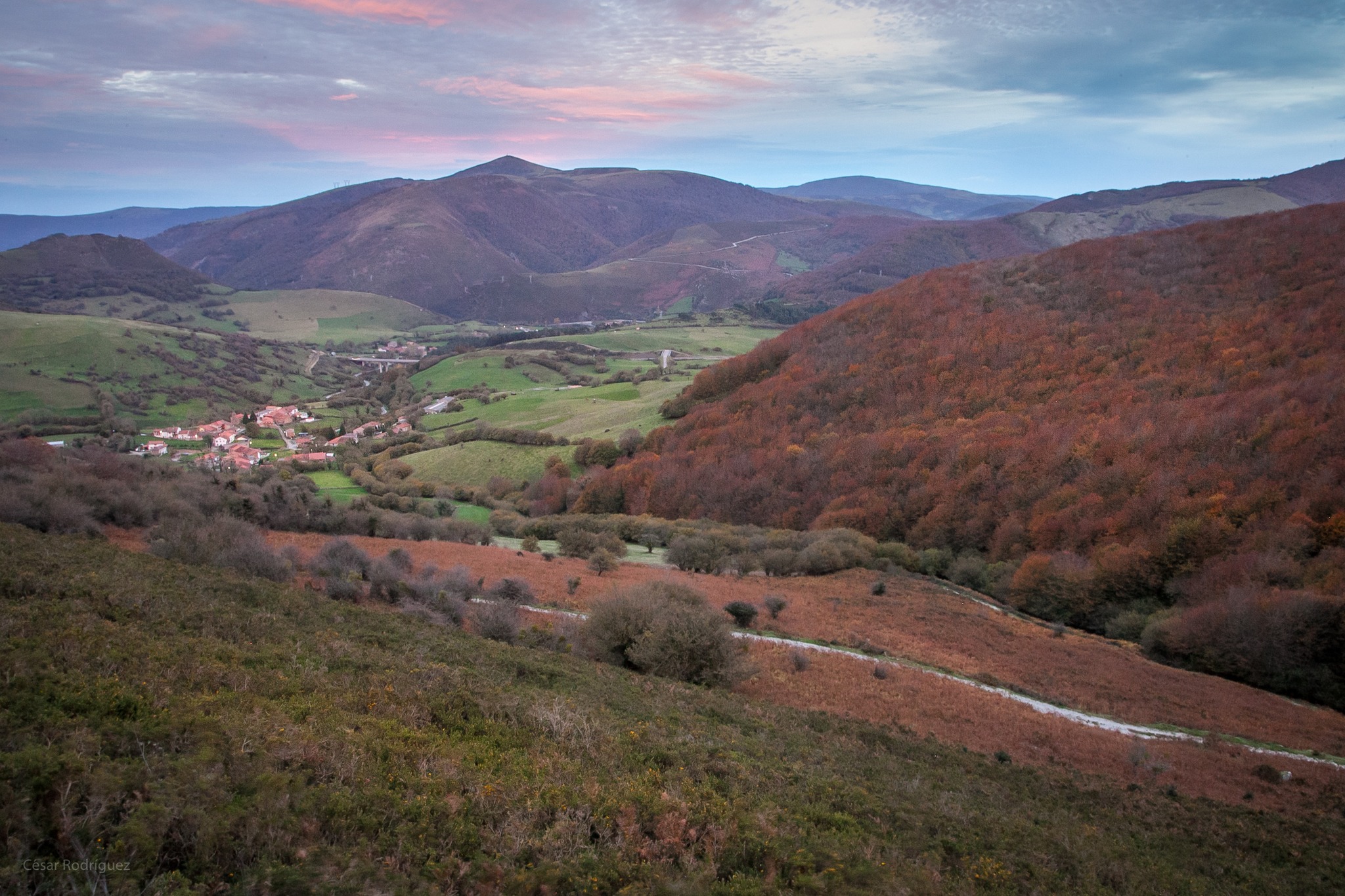 Image Not Found On Media Library