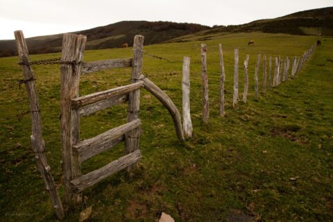 Image Not Found On Media Library