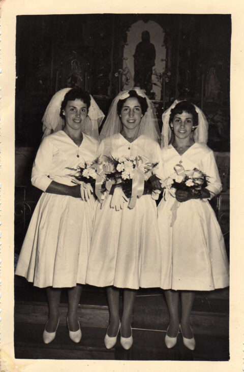 Image Not Found On Media Library