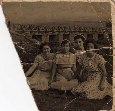 Image Not Found On Media Library