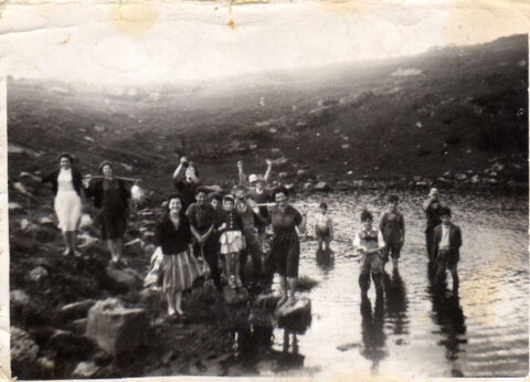 Image Not Found On Media Library