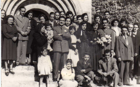 Image Not Found On Media Library