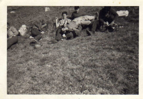 Image Not Found On Media Library