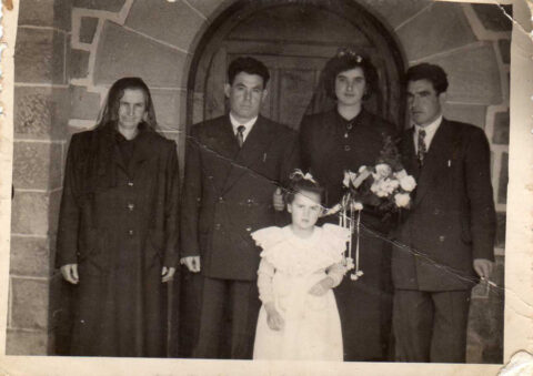 Image Not Found On Media Library