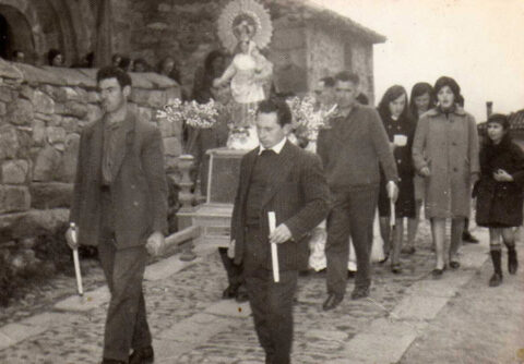 Image Not Found On Media Library