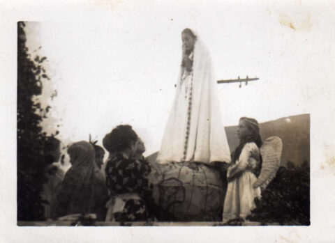 Image Not Found On Media Library