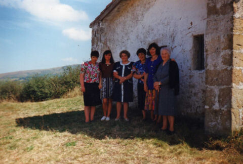 Image Not Found On Media Library