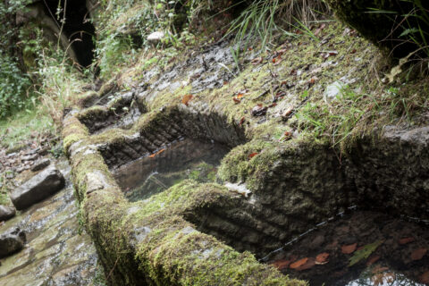 Image Not Found On Media Library