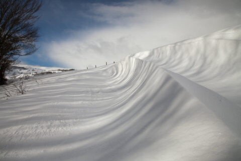 Image Not Found On Media Library