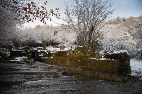 Image Not Found On Media Library