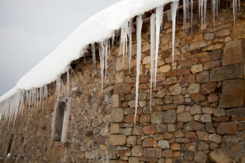 Image Not Found On Media Library