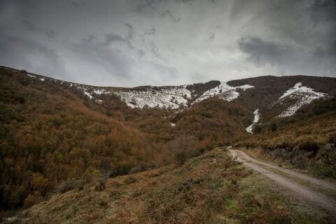 Image Not Found On Media Library