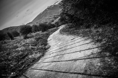 Image Not Found On Media Library