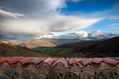 Image Not Found On Media Library