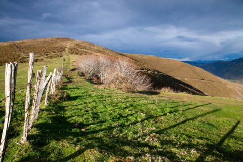 Image Not Found On Media Library