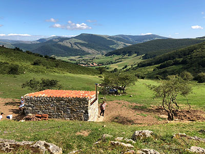 Image Not Found On Media Library