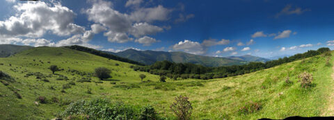 Image Not Found On Media Library