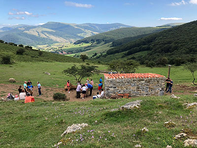 Image Not Found On Media Library