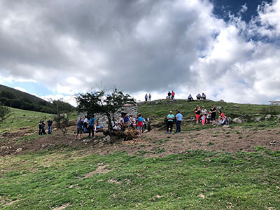 Image Not Found On Media Library