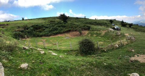 Image Not Found On Media Library