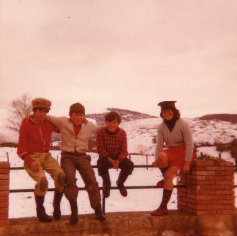 Image Not Found On Media Library