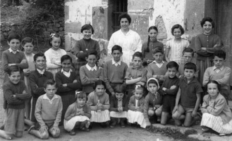 Image Not Found On Media Library