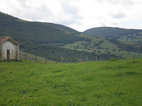 Image Not Found On Media Library