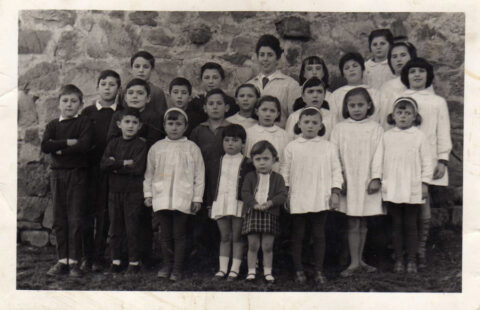 Image Not Found On Media Library