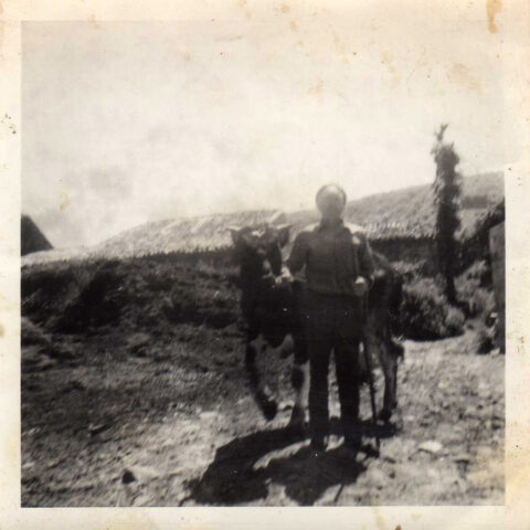 Image Not Found On Media Library