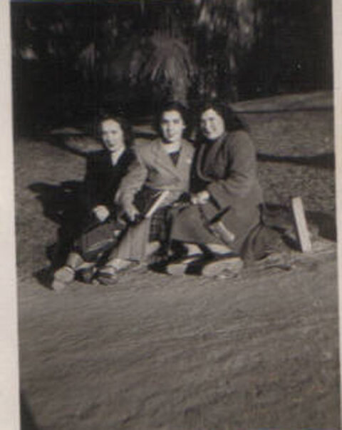 Image Not Found On Media Library