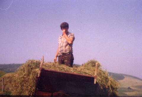 Image Not Found On Media Library