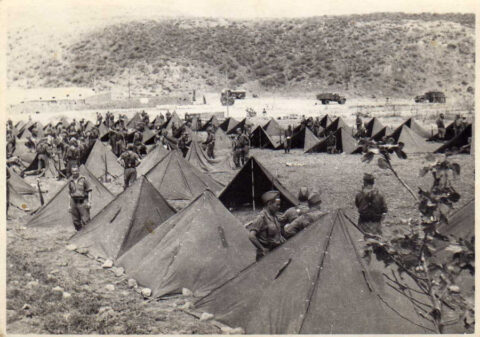 Image Not Found On Media Library