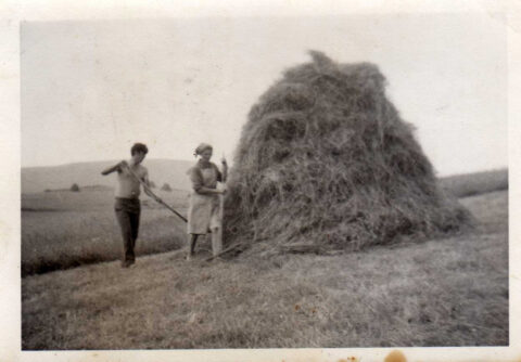 Image Not Found On Media Library