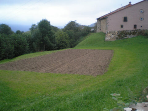 Image Not Found On Media Library