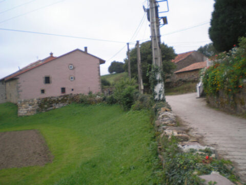 Image Not Found On Media Library