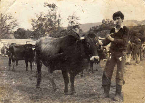 Image Not Found On Media Library