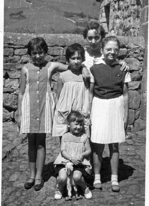 Image Not Found On Media Library