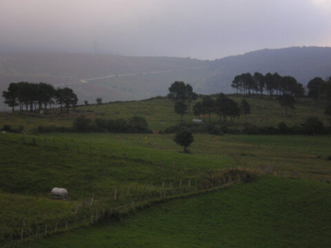 Image Not Found On Media Library