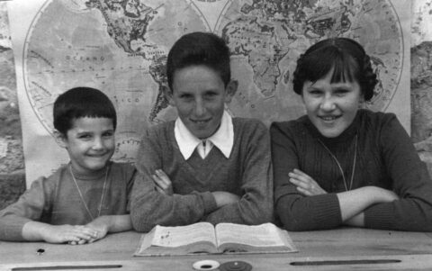 Image Not Found On Media Library