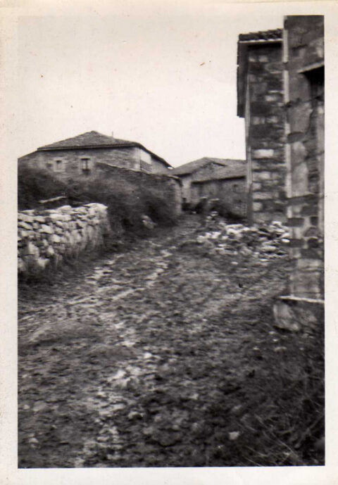 Image Not Found On Media Library