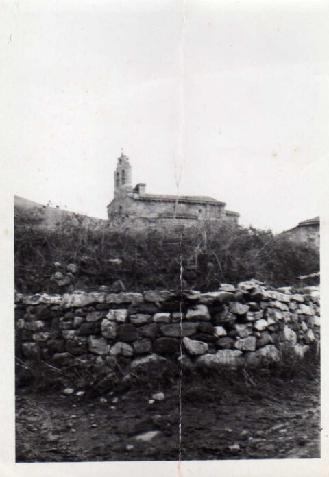 Image Not Found On Media Library