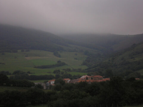 Image Not Found On Media Library