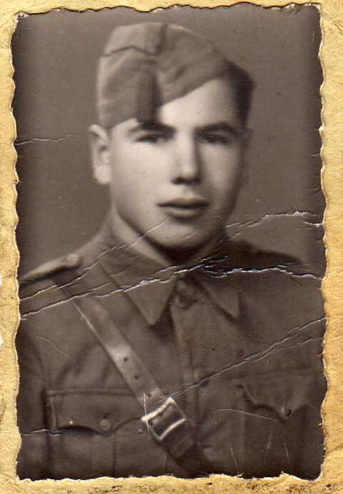 Image Not Found On Media Library