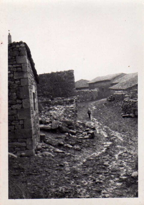 Image Not Found On Media Library