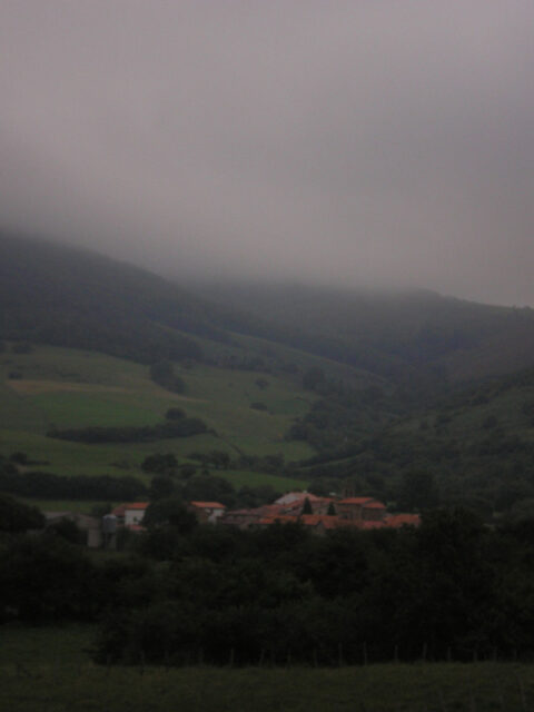 Image Not Found On Media Library