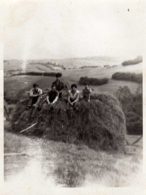 Image Not Found On Media Library