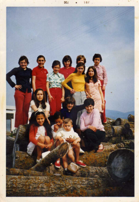 Image Not Found On Media Library