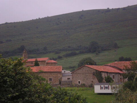 Image Not Found On Media Library